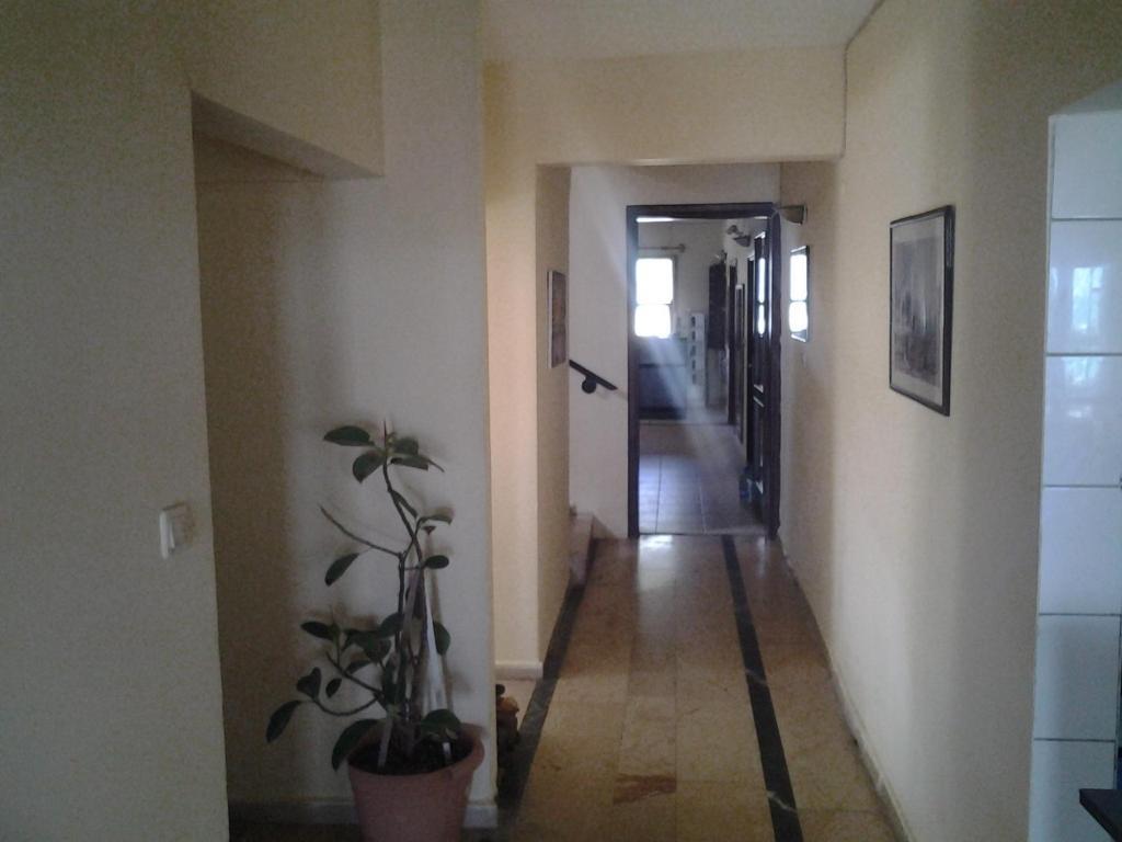 Guven Hotel Alanya Exterior foto
